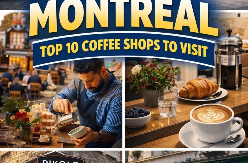 Best Cafés in Montréal: Top 10 Coffee Shops to Visit